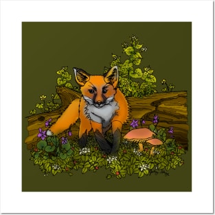 Fox Kit Posters and Art